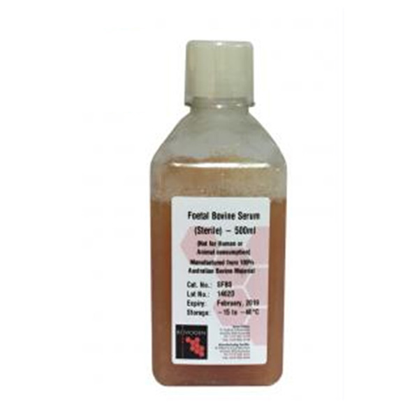 進(jìn)口胎牛血清 進(jìn)口胎牛血清